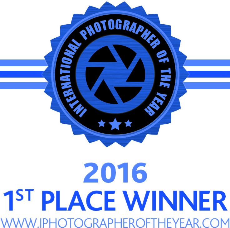Photographer of the Year Award 2016 1st Place Winner logo